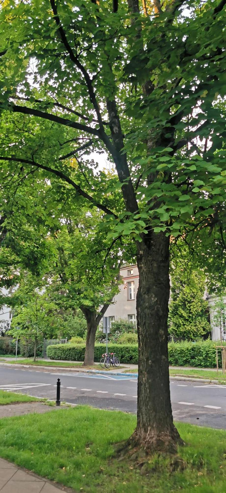 Apartamento Zoliborz *
