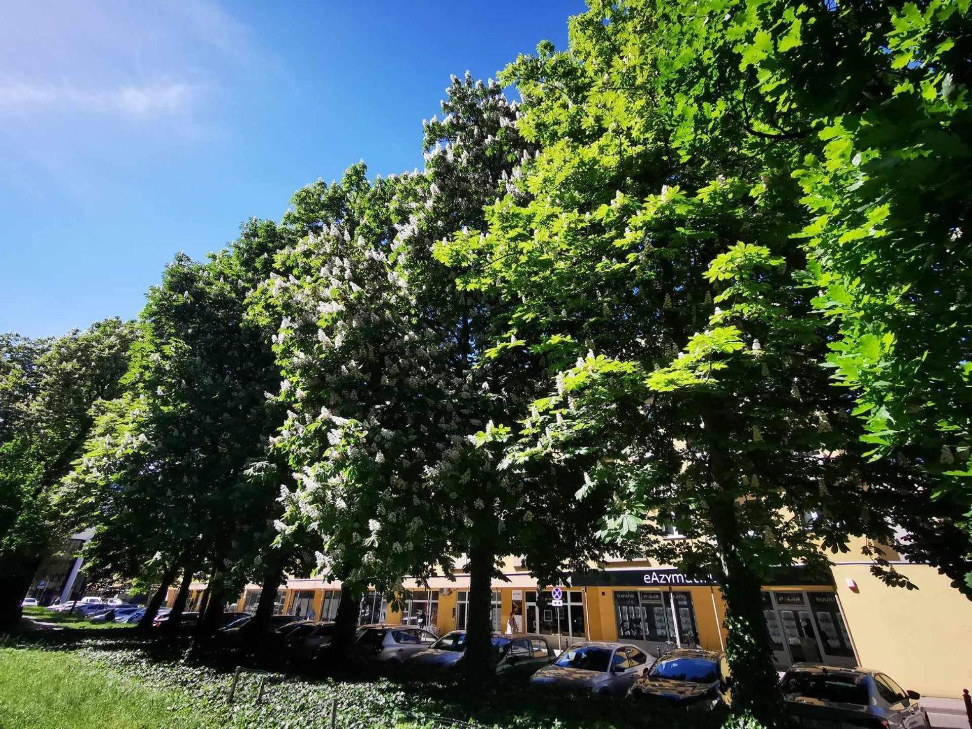 Corazziego Plac Bankowy Apartment Warschau