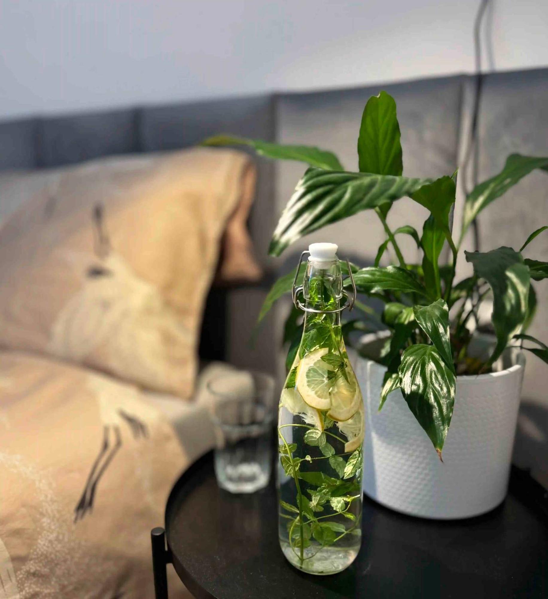Apartament Zielona Ochota Apartment Warsaw