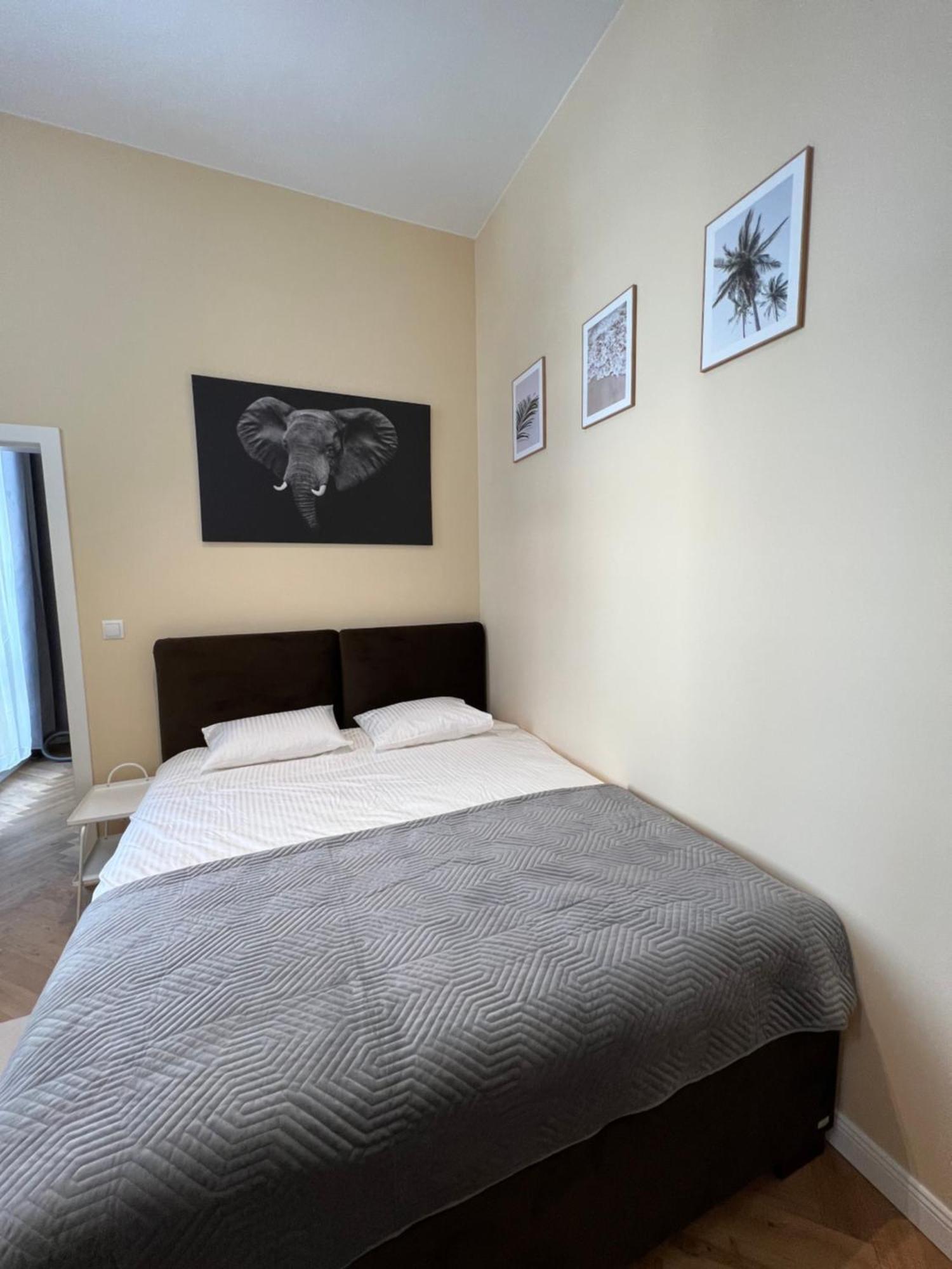 Apartament Piekna 16a *