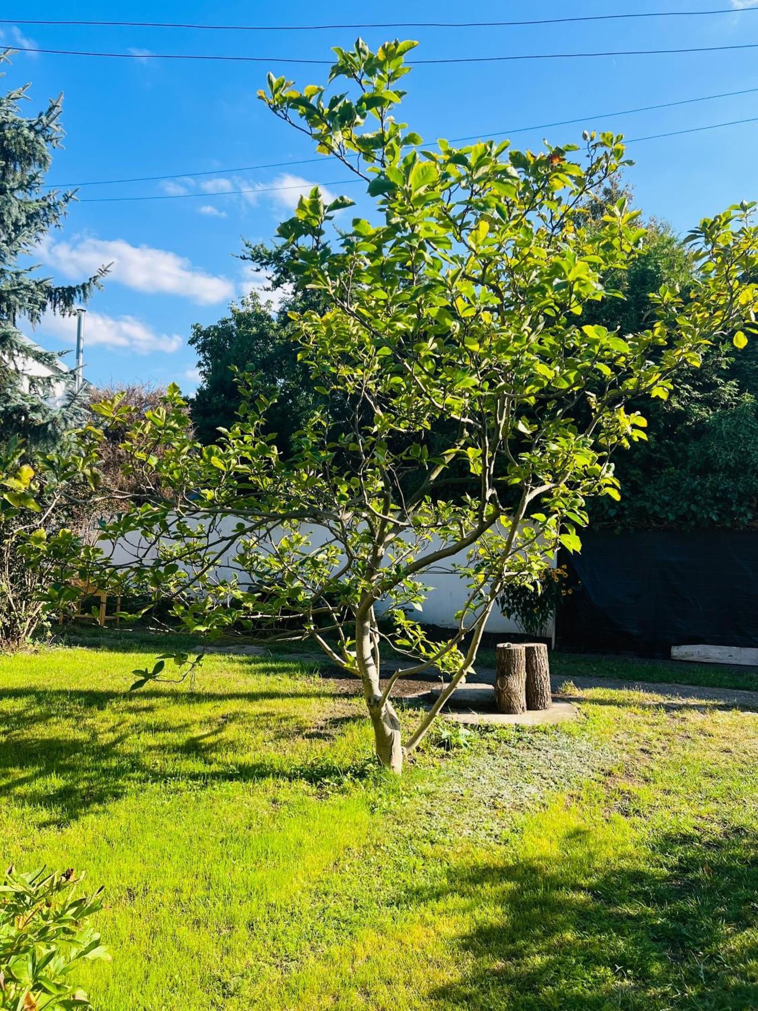 Holiday home Dom Z Ogrodem W Zaciszu W-wy Warsaw
