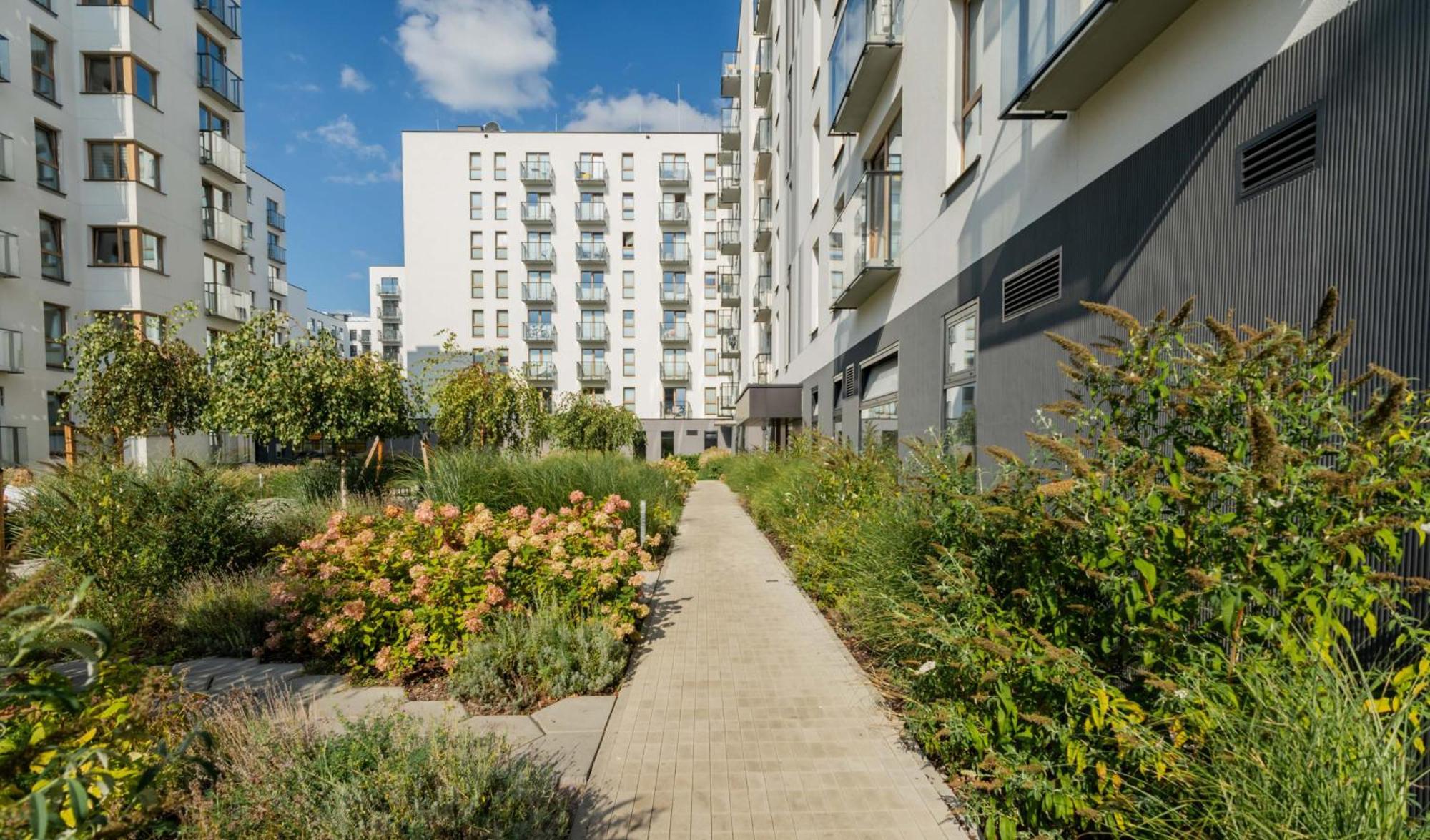 Kombucha Premium Wynalazek Warszawa