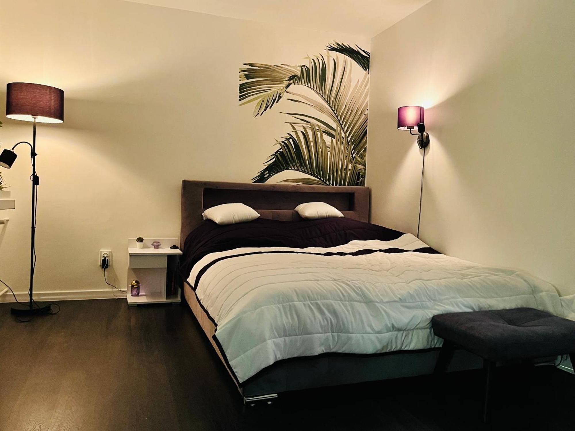 Apartament Panska 5 *
