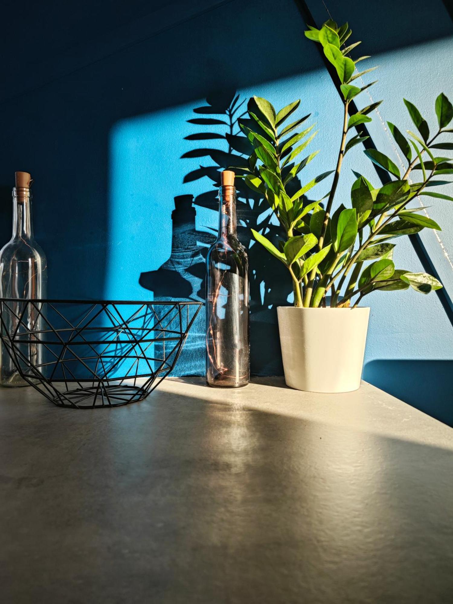 Apartament Przytulne Mieszkanie Przy Kanale Zeranskim Warszawa