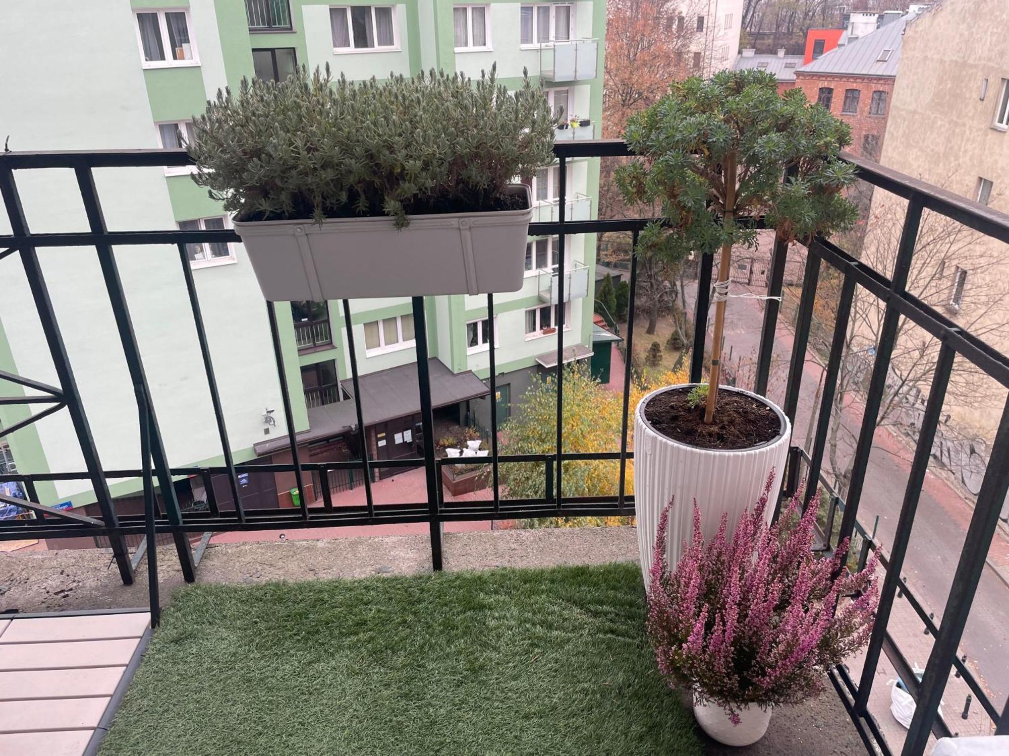 Constitution Corner Apartment