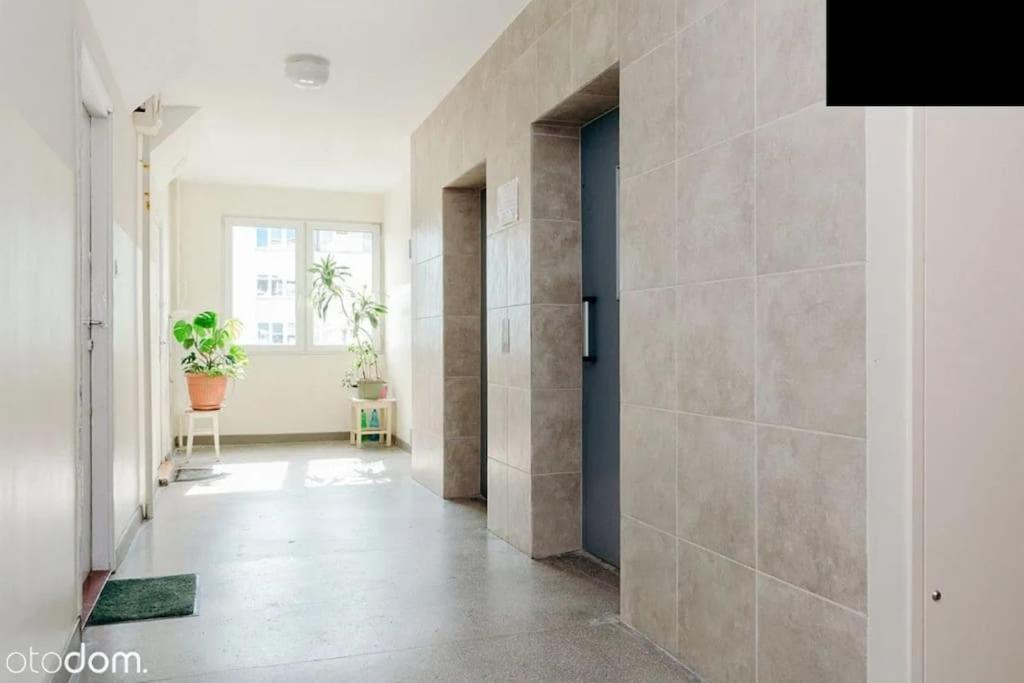 View Center Apartment