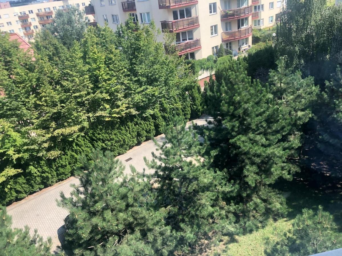 New 2floor Security Park Mall Airport Apartment *
