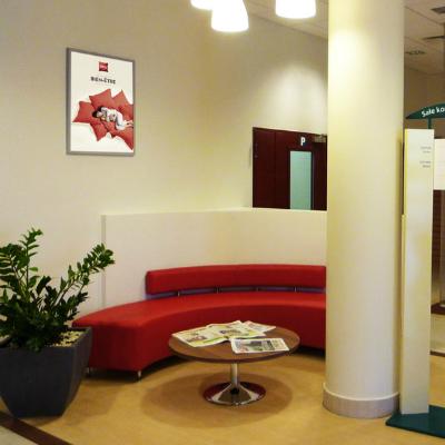 Ibis Reduta