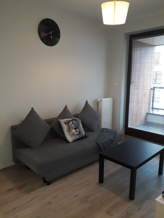 Apartment Mg Siedmiogrodzka *