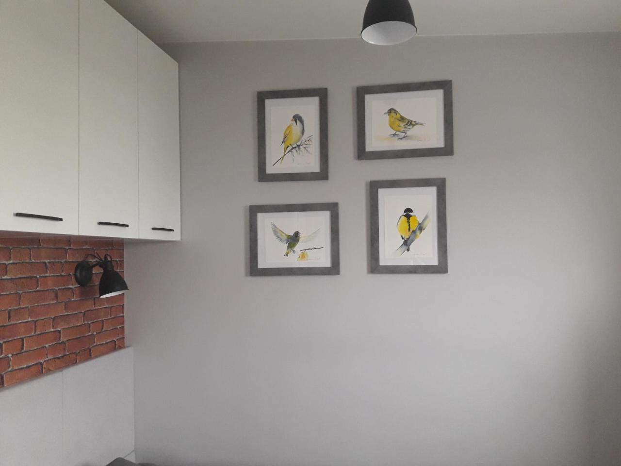 Apartament Orchidea Loft Apartament