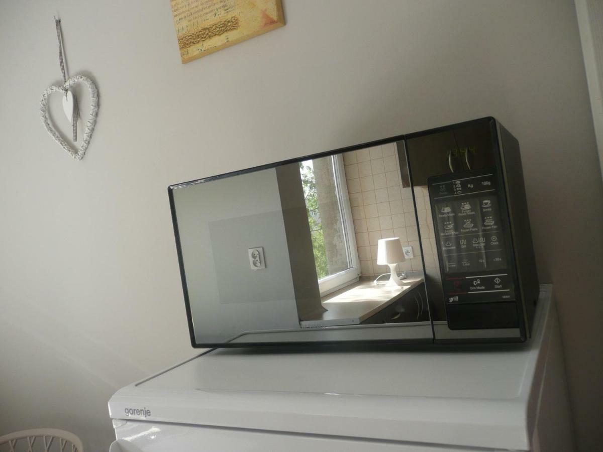 Sunny Wisla River Apartment