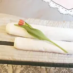 Basniowy Apartament