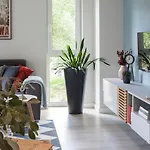 Olszowa 14 By The River Apartment