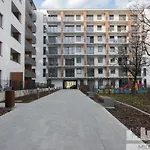 Millennium Awangarda Grey