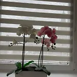 Apartamenty W Centrum Warszawy