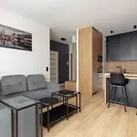 Brand New Business Apartament