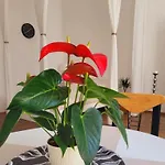 Przytulne Apartamenty W Super Lokalizacji Lok 1