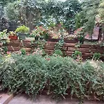 Apartament Sadul