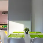 W Sercu Powisla, Balkon, Klimatyzacja, Wifi, Brak Tv