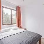 Chill Apartments Bociania