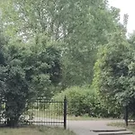 Zielona Wiolinowa