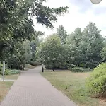 Zielona Wiolinowa