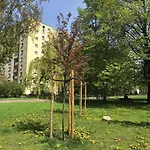 White House Apartaments Warsaw