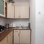 Specious City Center Studio With Park View