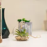 Rent Like Home - Hoza 39