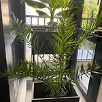 Apartament Mokoconcept