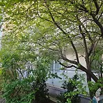Maison Bruehl - Apartamenty Przy Ogrodzie Saskim