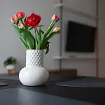 Apartament Mlynow