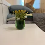 Cozy Apartment In The Centre Of Warsaw