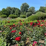 Dedek Park - Historyczny Dworek W Pieknym Parku Skaryszewskim Obok Stadionu Narodowego