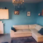 Zielony Zakatek