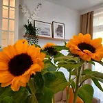 Downtown Elegant & Sunny Apartment Near Metro Central Station
