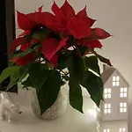 Wygodny Dwupokojowy Apartament Pomiedzy Lotniskiem A Centrum