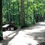 Quiet Separate Accommodation In Warsaw On Outskirts Near Forest