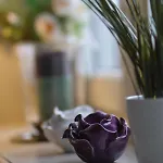 Apartament Panorama
