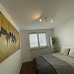 Ikigaihome Pl Modern Apartment With Garage