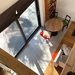 Modern Loft With A Garden