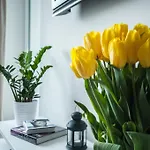 Apartament Panska By Your Freedom