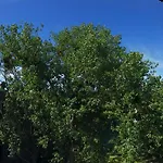 Apartament Kolska