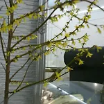 Lovely Apartment- Poznanska 16