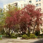 Apartament Luxury Business Saska Kepa