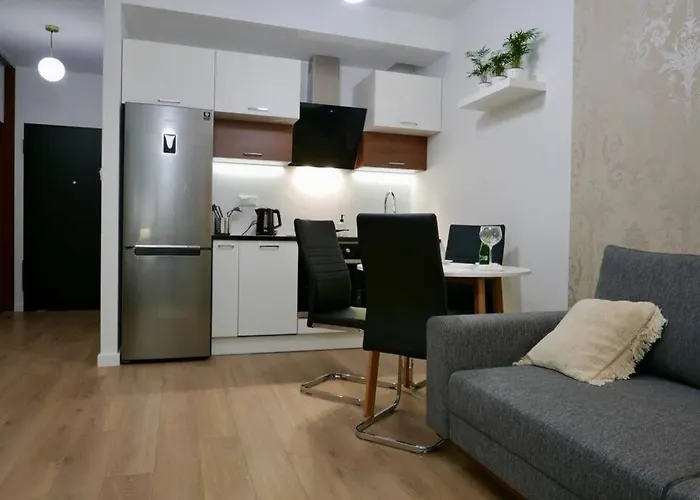 Studio Nr 1 Close To Medicover And Paley Institute