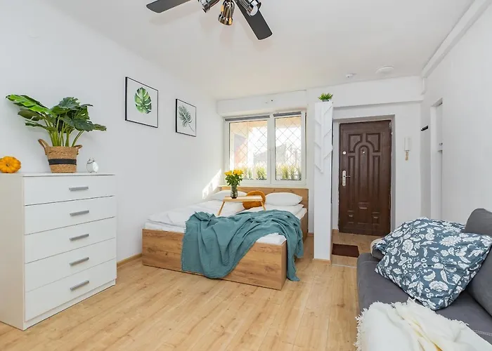 Shortstaypoland Zlota