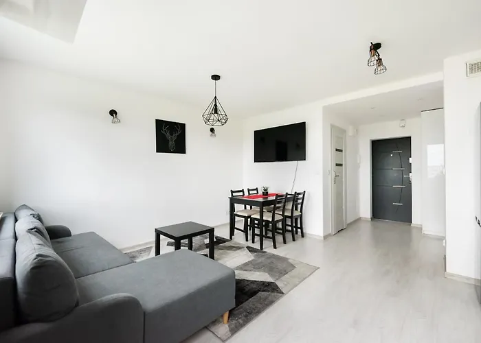 Witolinska White & Black Apartment