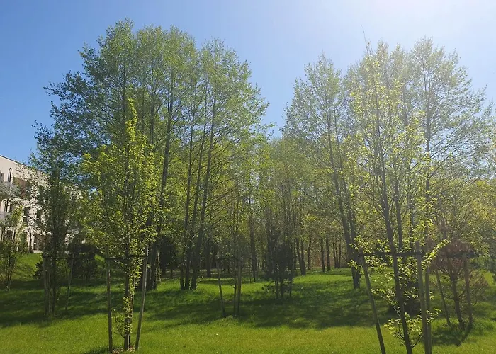 Apartament 3 Pokojowy Lub Pokoj W Mieszkaniu W Nowym Bloku