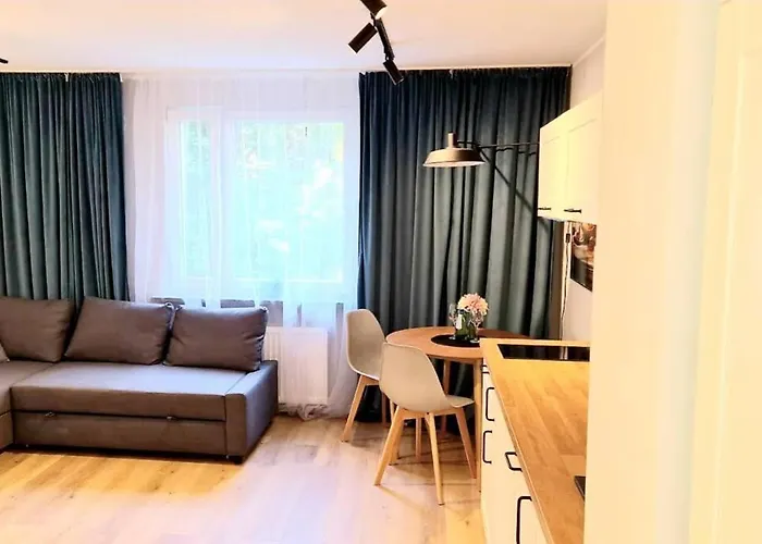 Saska Modern Apartment